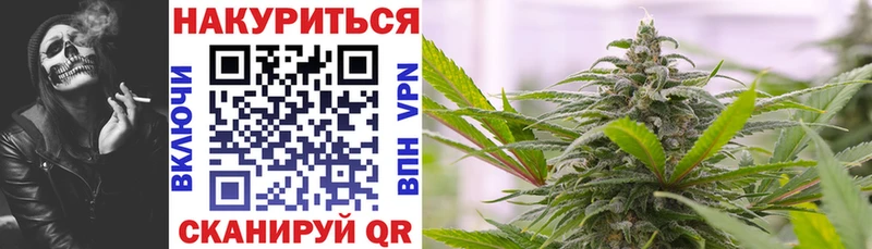 Купить наркотики цена Оса COCAIN  Амфетамин  Alpha PVP  Псилоцибиновые грибы  ГАШИШ  Канабис 
