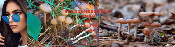 МДМА Алзамай