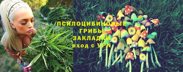 гашик Алексеевка