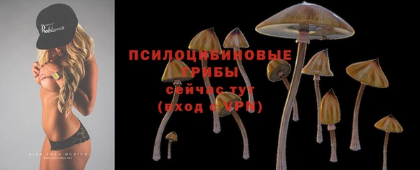 гашик Алексеевка