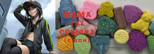 гашик Алексеевка