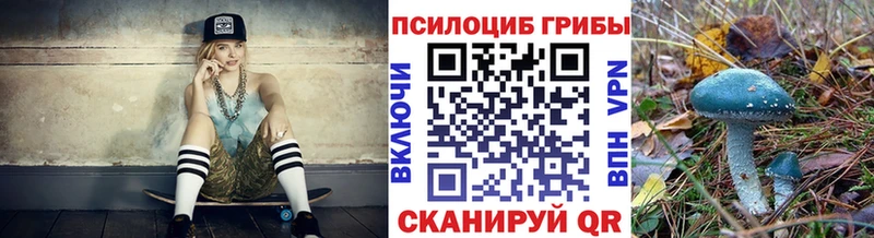 Галлюциногенные грибы Psilocybine cubensis  Оса 